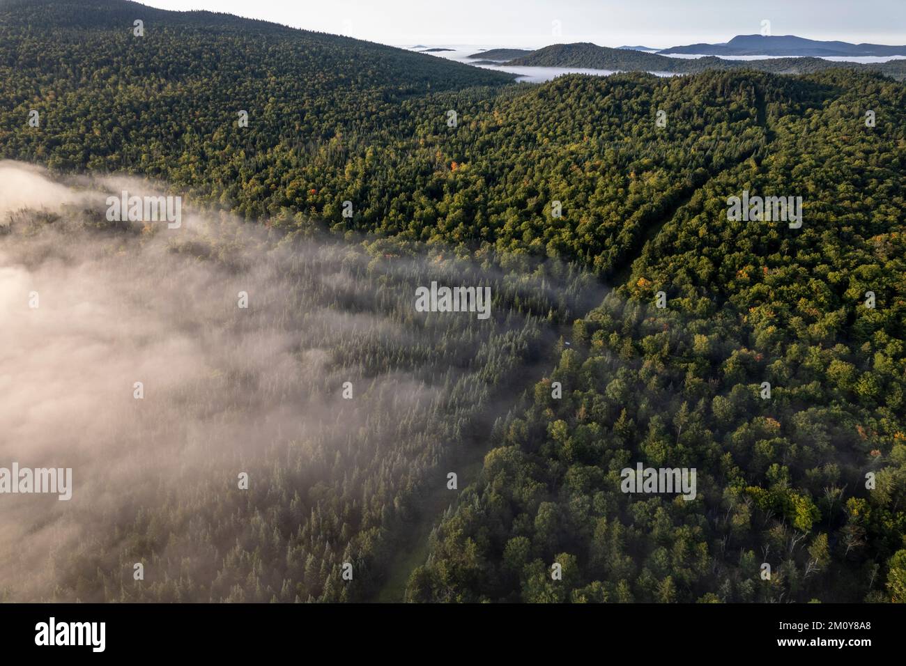 Aerial view of forested US Canada border line between Maine and Quebec Stock Photo