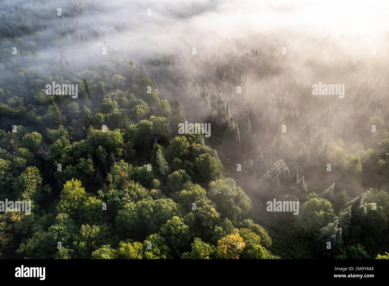Aerial image of US - Canada border bathed in mist and fog Stock Photo