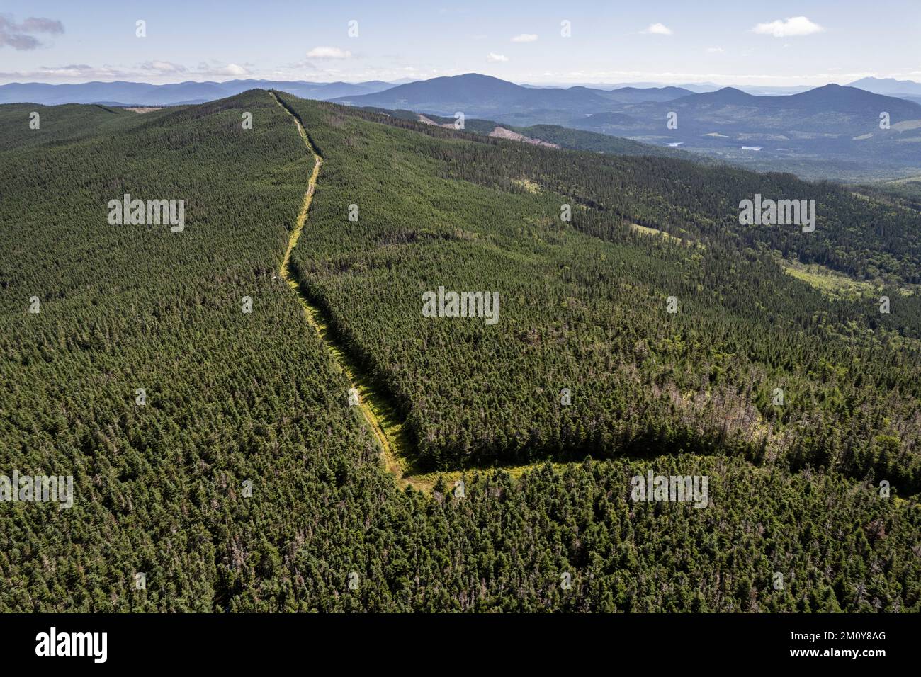 International border follows forest ridgeline between USA and Canada Stock Photo