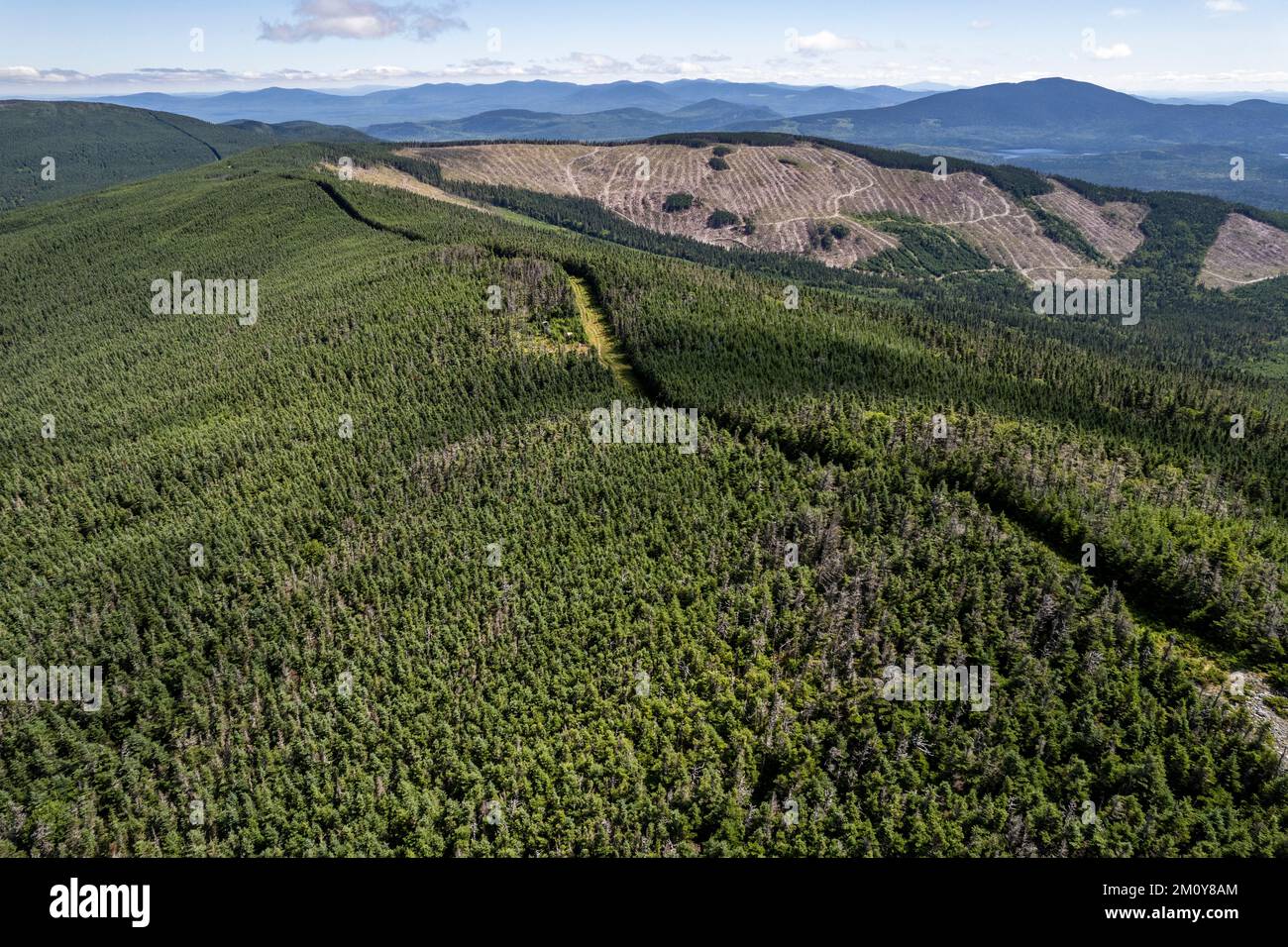 Aerial view of logging clearcut along USA Canada border, Maine Stock Photo