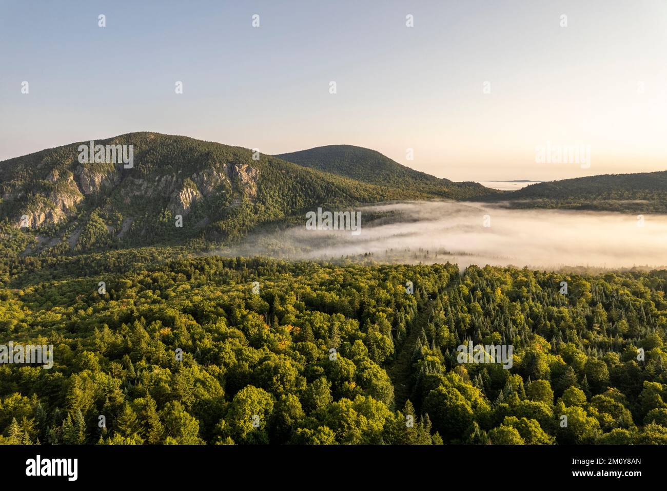 Mount Marbre towers over misty woods along USA Canada border, Quebec Stock Photo