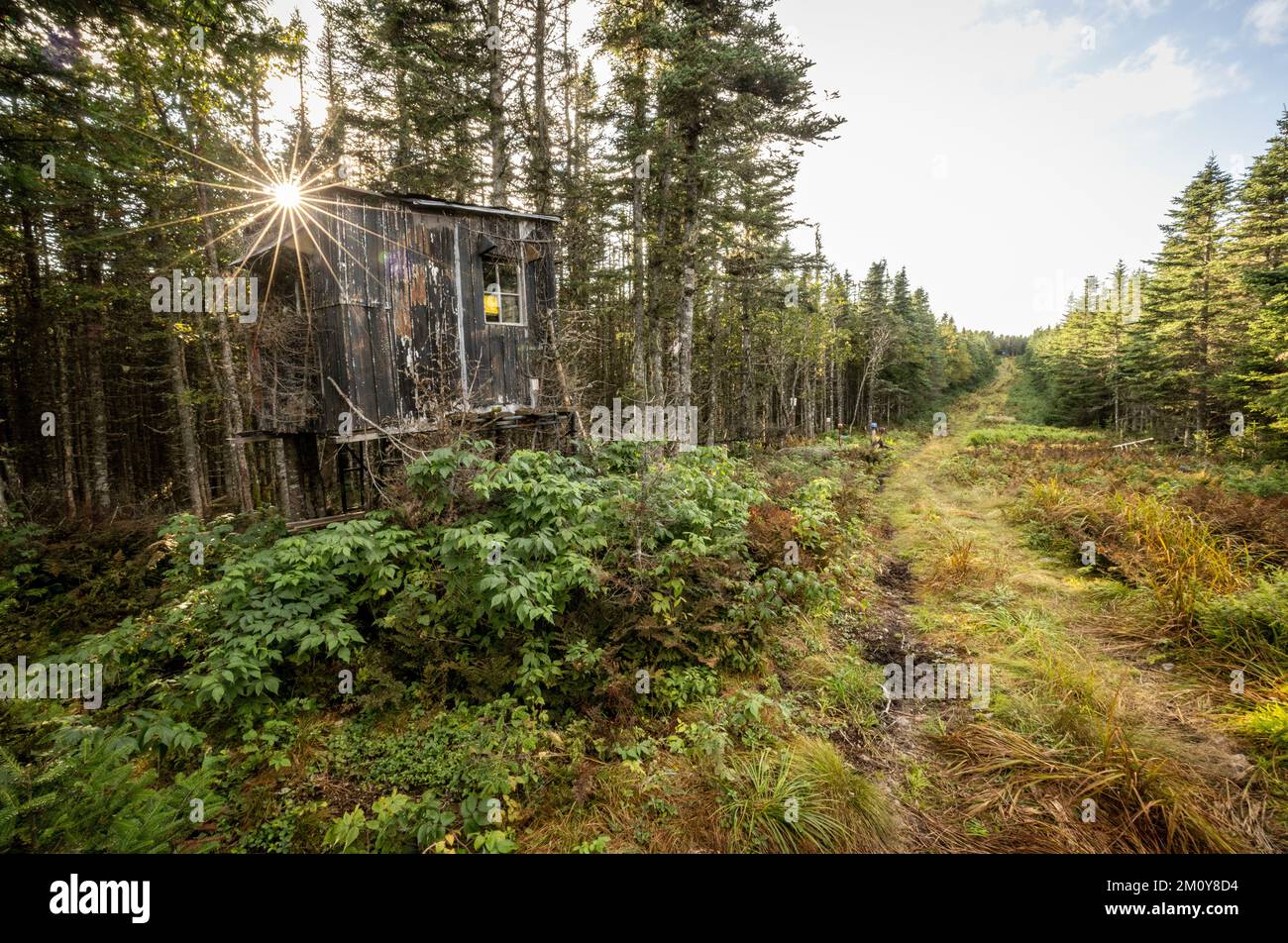 Old weathered hunting cabin in Quebec along USA international border Stock Photo