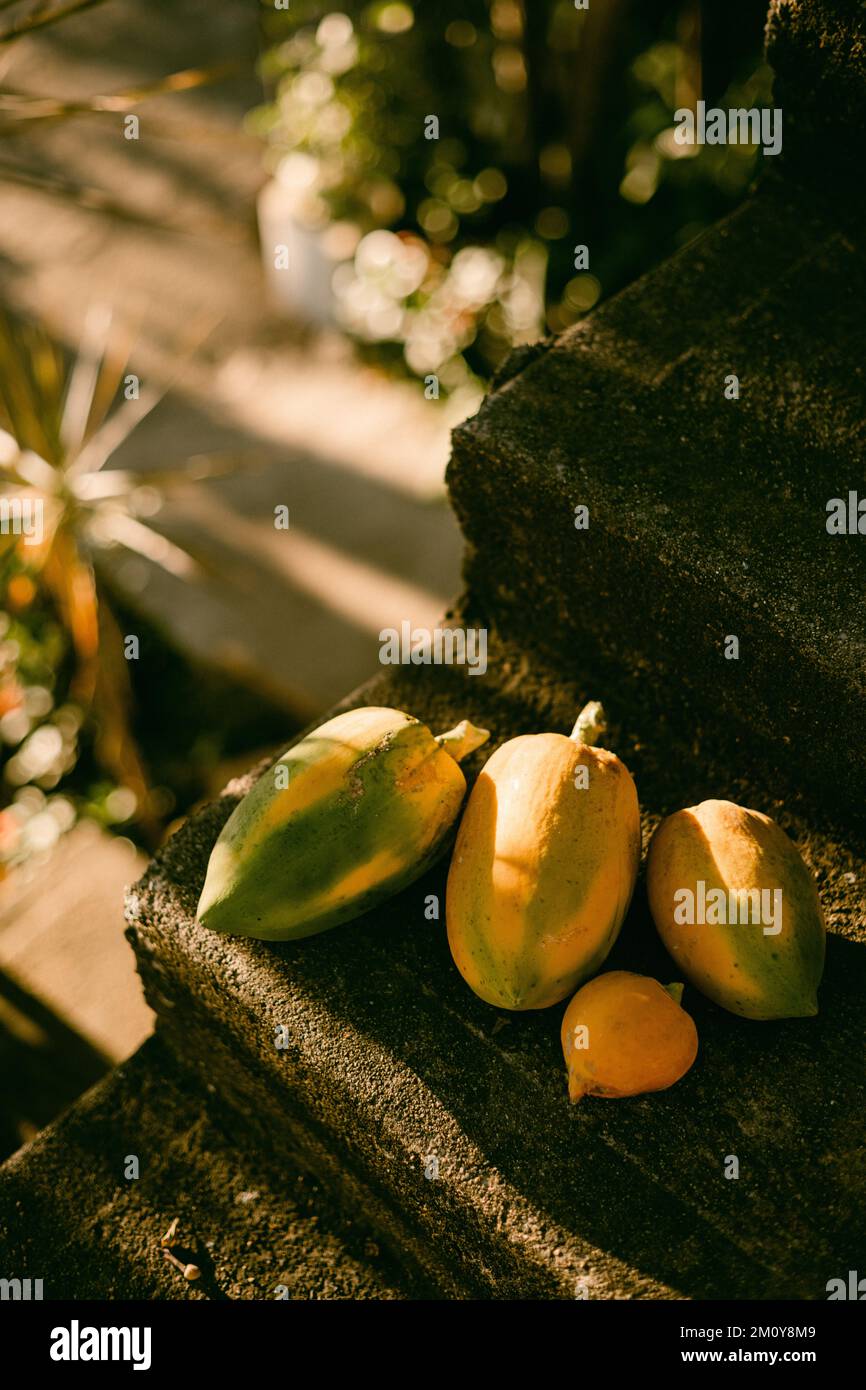Papaya fruit on rustic steps with morning sunshine Stock Photo