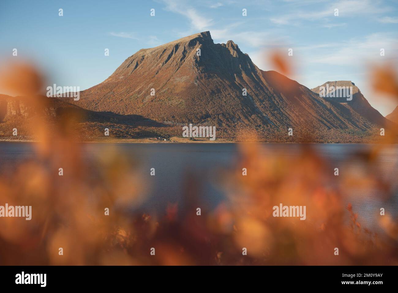 Autumn view towards island of Aldra, Nordland, Norway Stock Photo