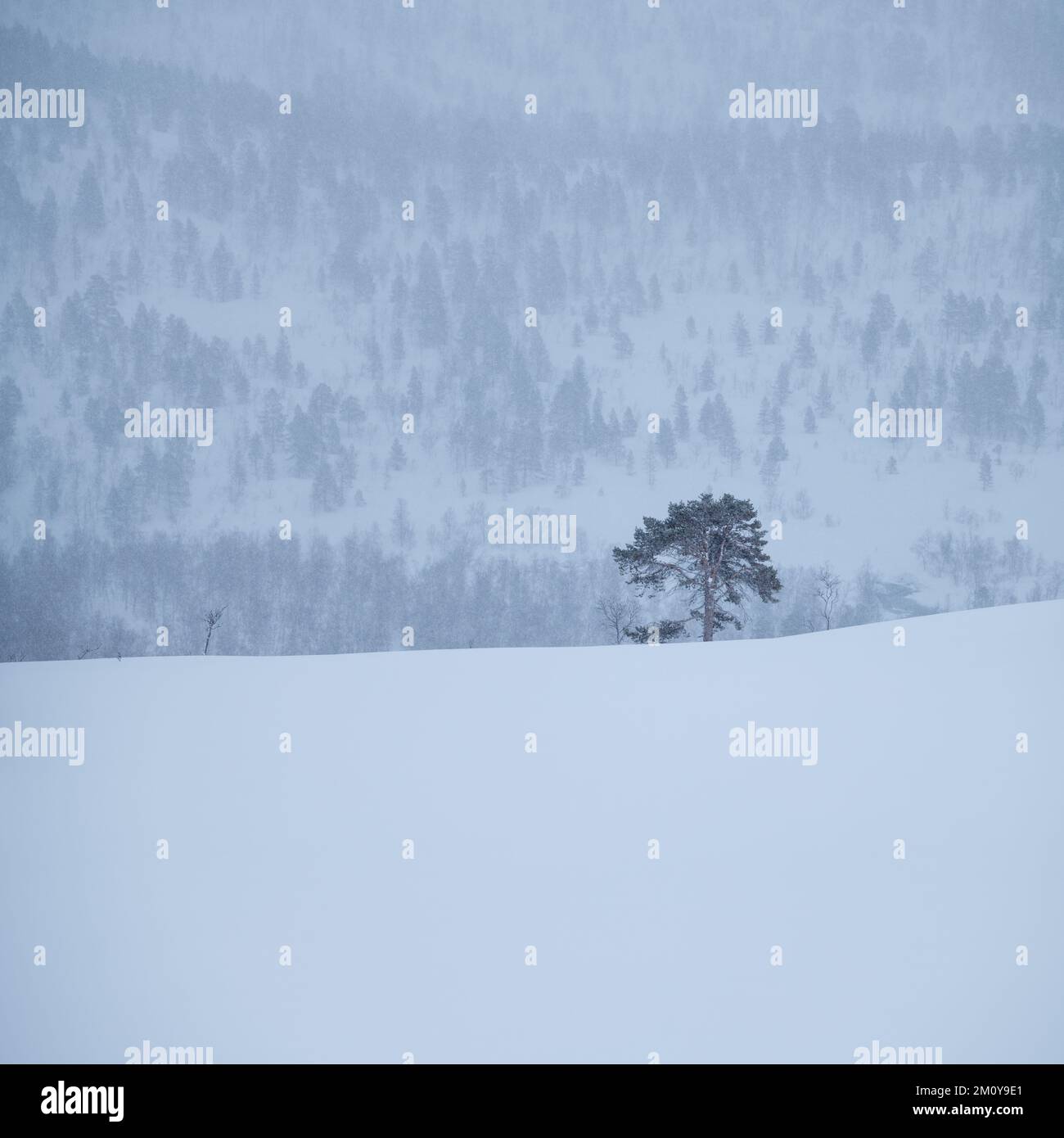 Winter mountain landscape, Senja, Norway Stock Photo