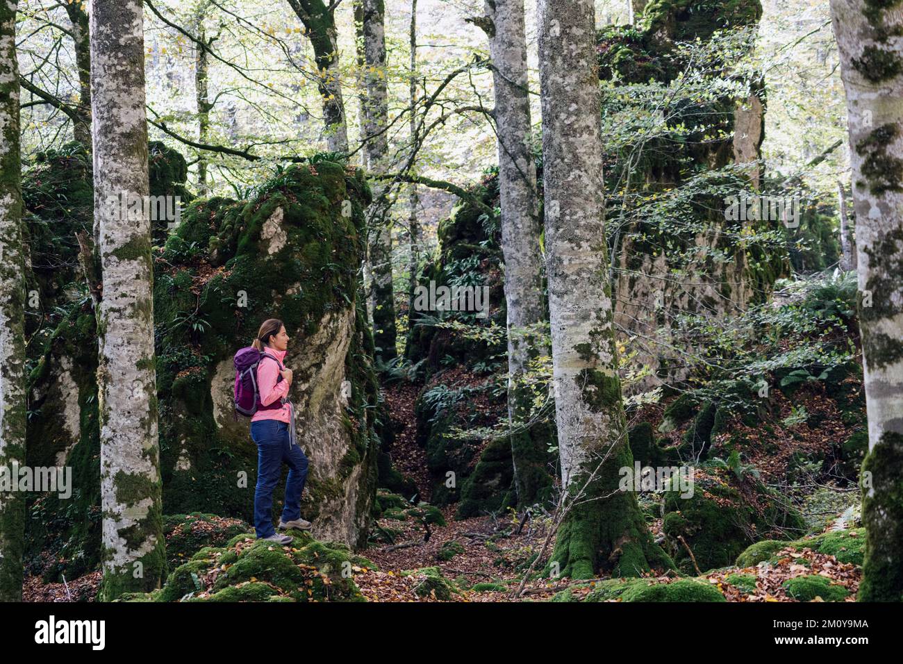 Female backpacker admiring the autumn forest. Stock Photo