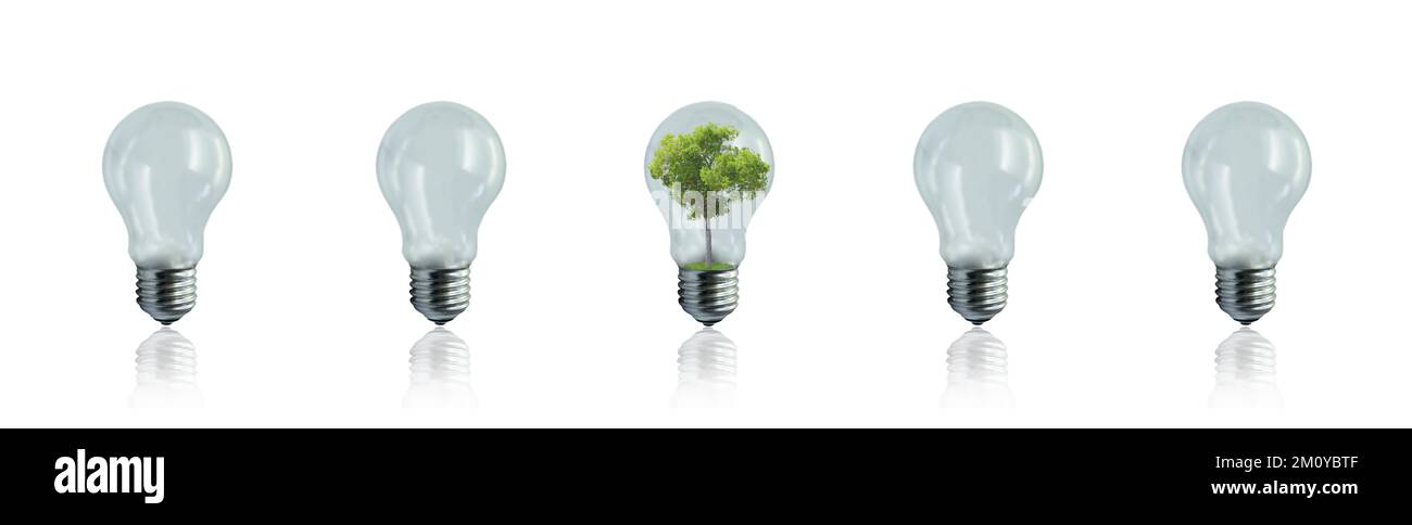 Concept of creativity, innovation, ecological and sustainable environment. Light bulbs in a row. Light bulb with growing tree. White background Stock Photo