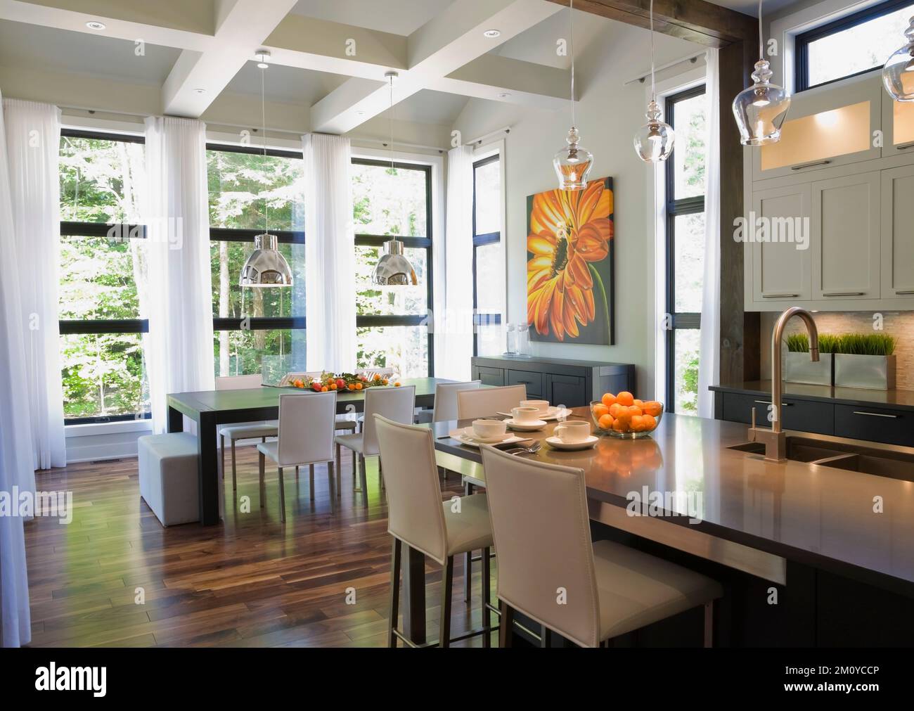 Island and dining table in opulent open concept kitchen dining room ...