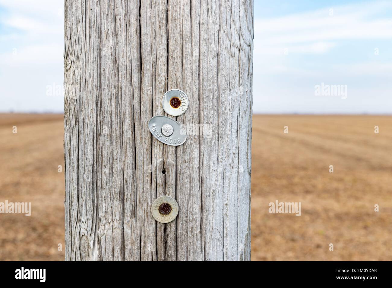 Inspection tag on electric utility power pole. Electrical grid safety