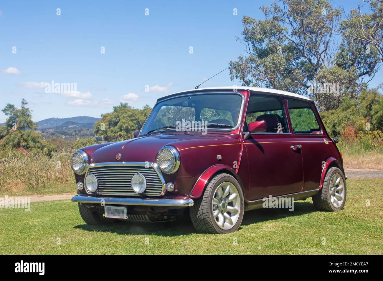 Mulberry paint hi-res stock photography and images - Alamy