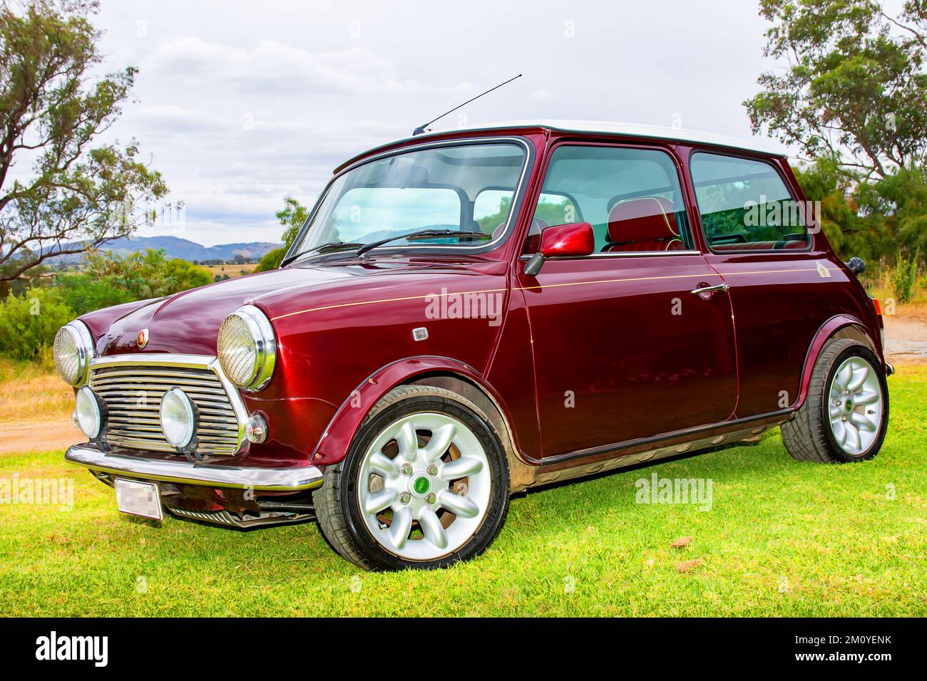 1999 Rover Mini Cooper 40th Anniversary Edition. Mulberry paint with gold stripe Stock Photo