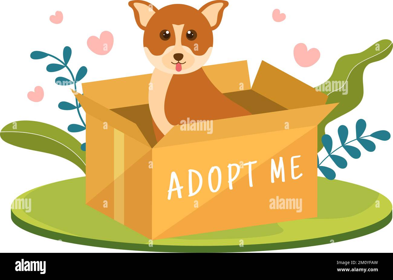 Adopt a Pet From an Animal Shelter in the Form of Cats or Dogs to Care