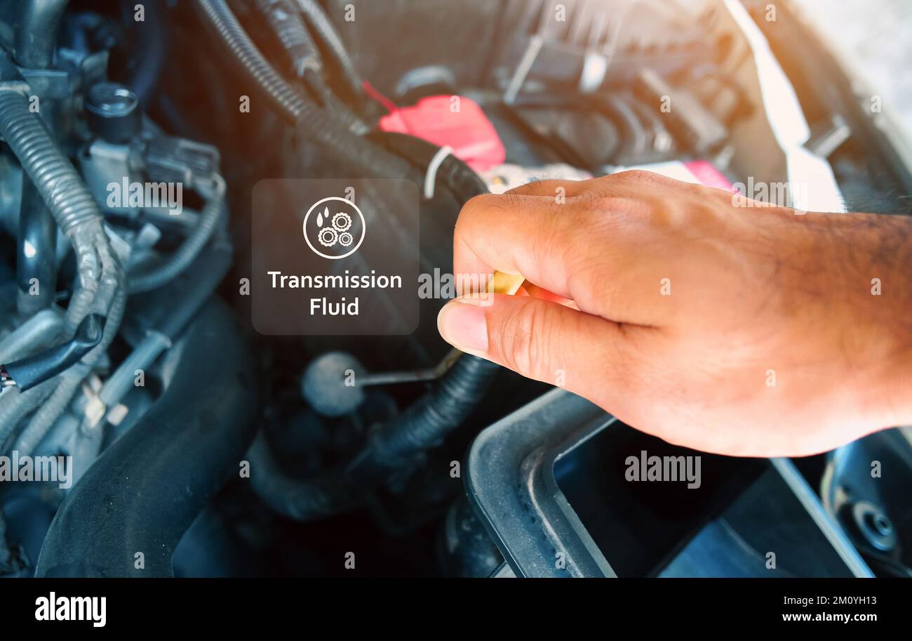 Check the transmission fluid level and gear oil deterioration by a mechanic with transparent gear oil warning symbols on center, auto maintenance serv Stock Photo