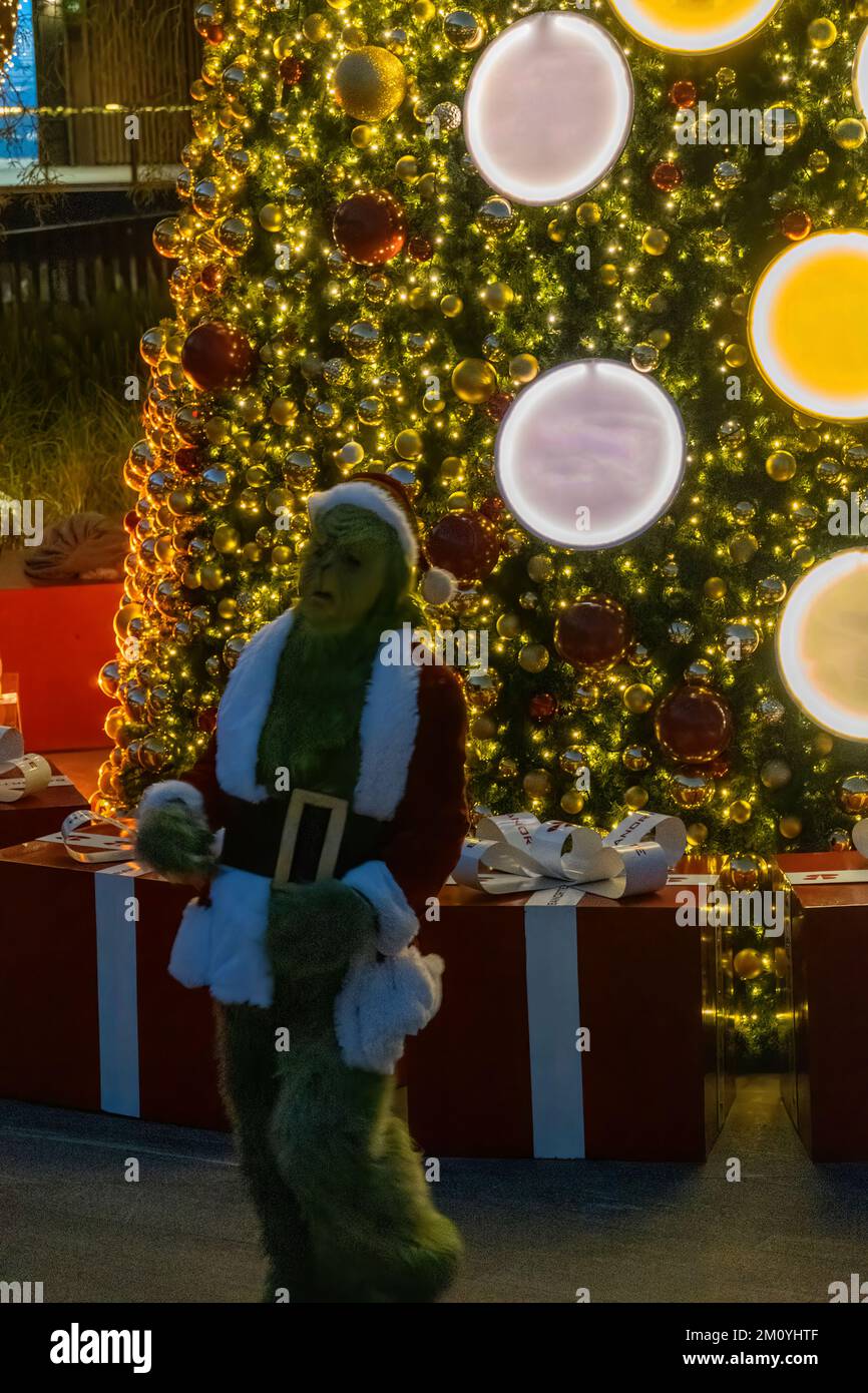 the grinch singing and dancing behind a christmas tree with big presents, mexico Stock Photo