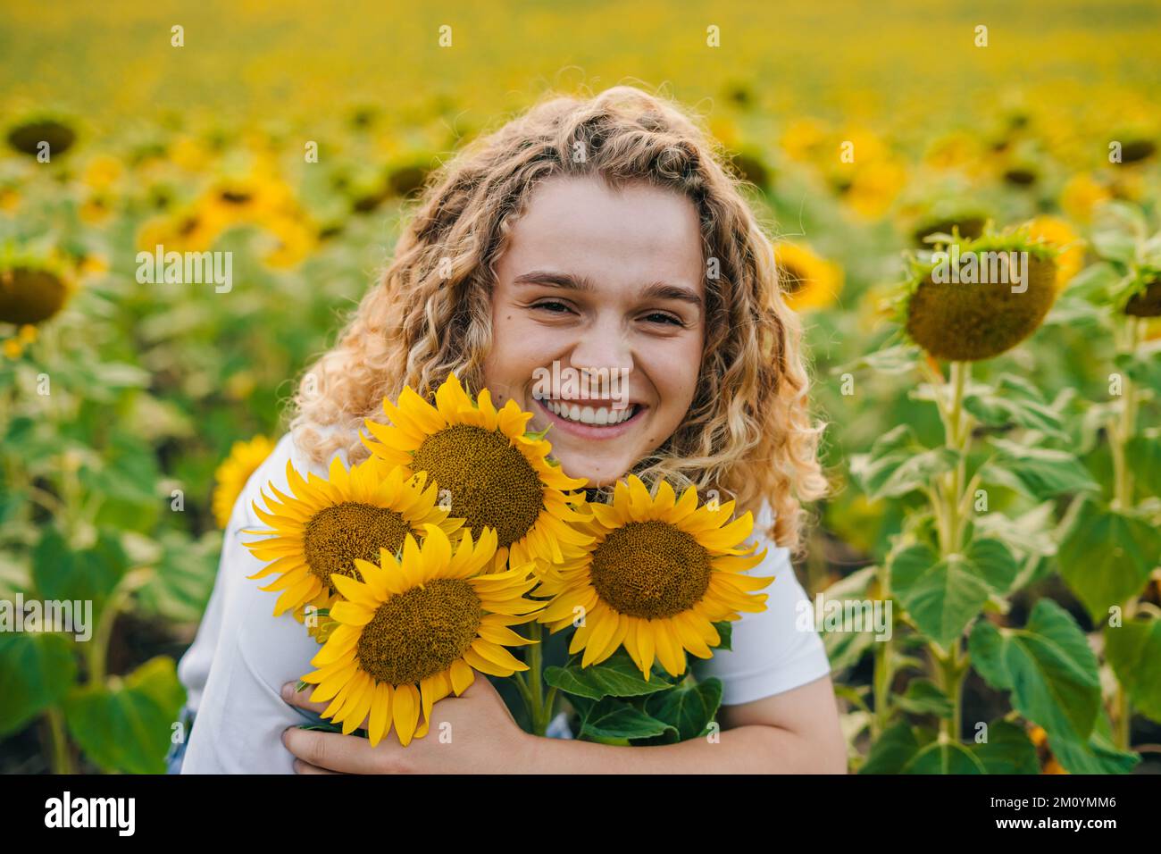 Portrait of a young woman with curly hair enjoying summer in sunflower field at sunset. Beautiful sunset. Smile emotions. Stock Photo