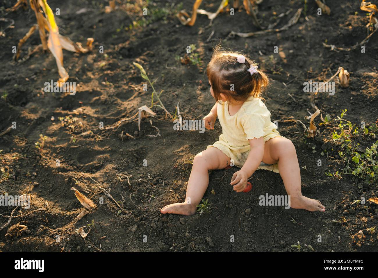 Baby girl playing in the garden learning and enjoying the fresh air, exploring the ground and testing out her developing skills. Cute child playing in Stock Photo
