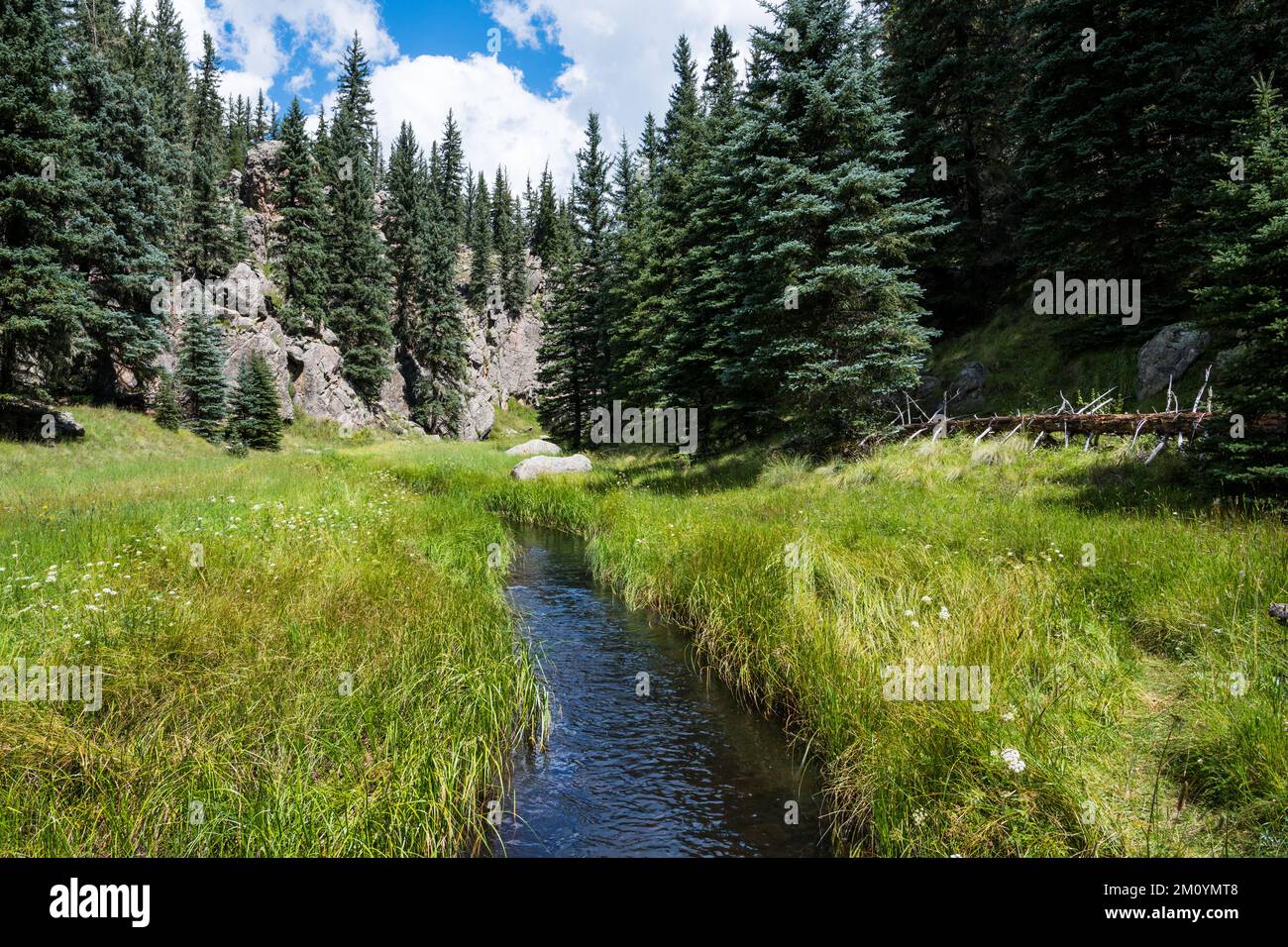 Lush green meadows hi-res stock photography and images - Alamy