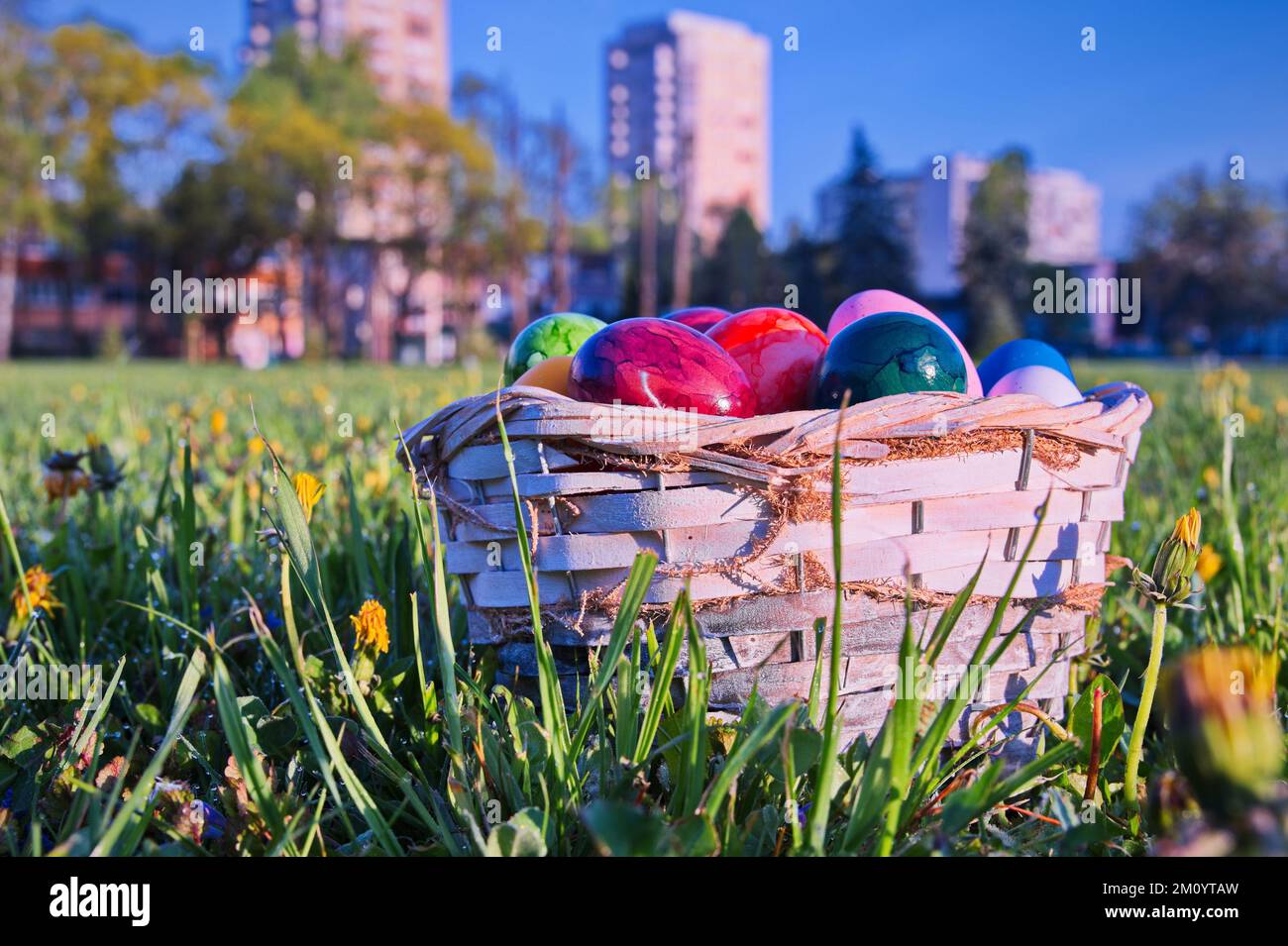 Easter eggs in wicker basket on green meadow Stock Photo