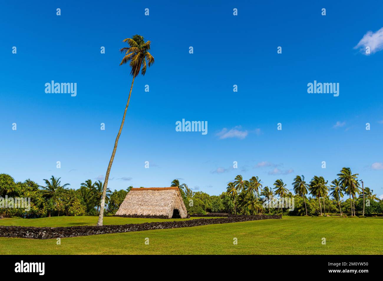 Traditional Hawaiian house with thatched roof amid a tropical landscape