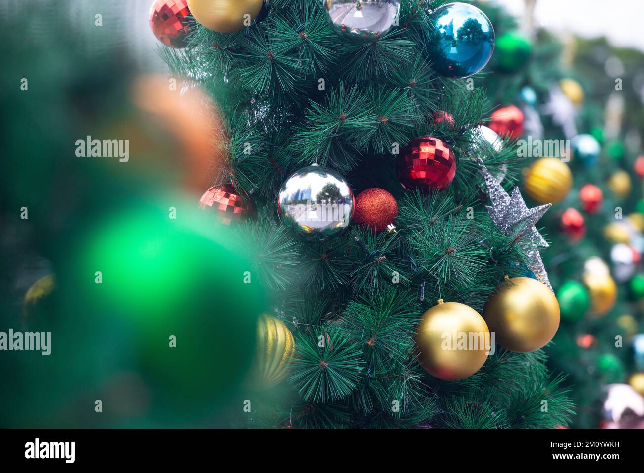 Christmas trees colourful balls decoration at outdoor setting. Stock Photo
