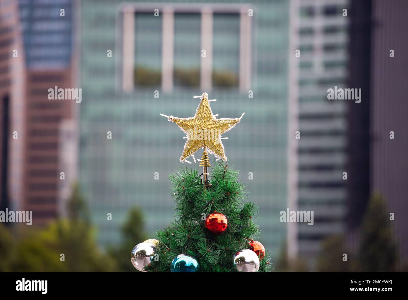 Close up view of the top of Christmas tree with a gold star decoration at outdoor environment against a modern building as background. Stock Photo