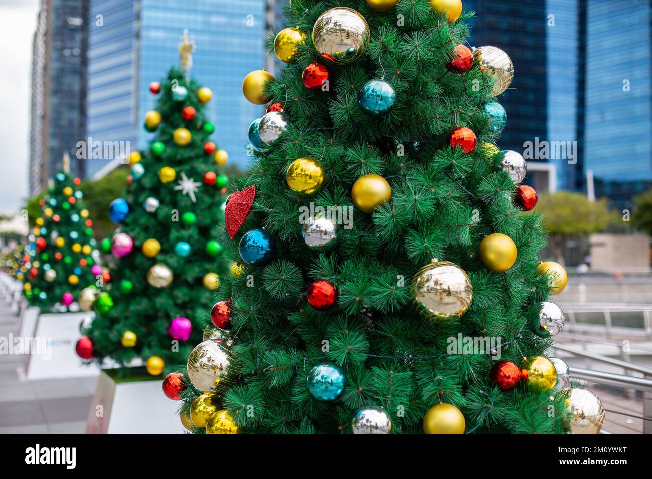 A row of Christmas  trees decoration at outdoor venue against a series of blue buildings. Stock Photo