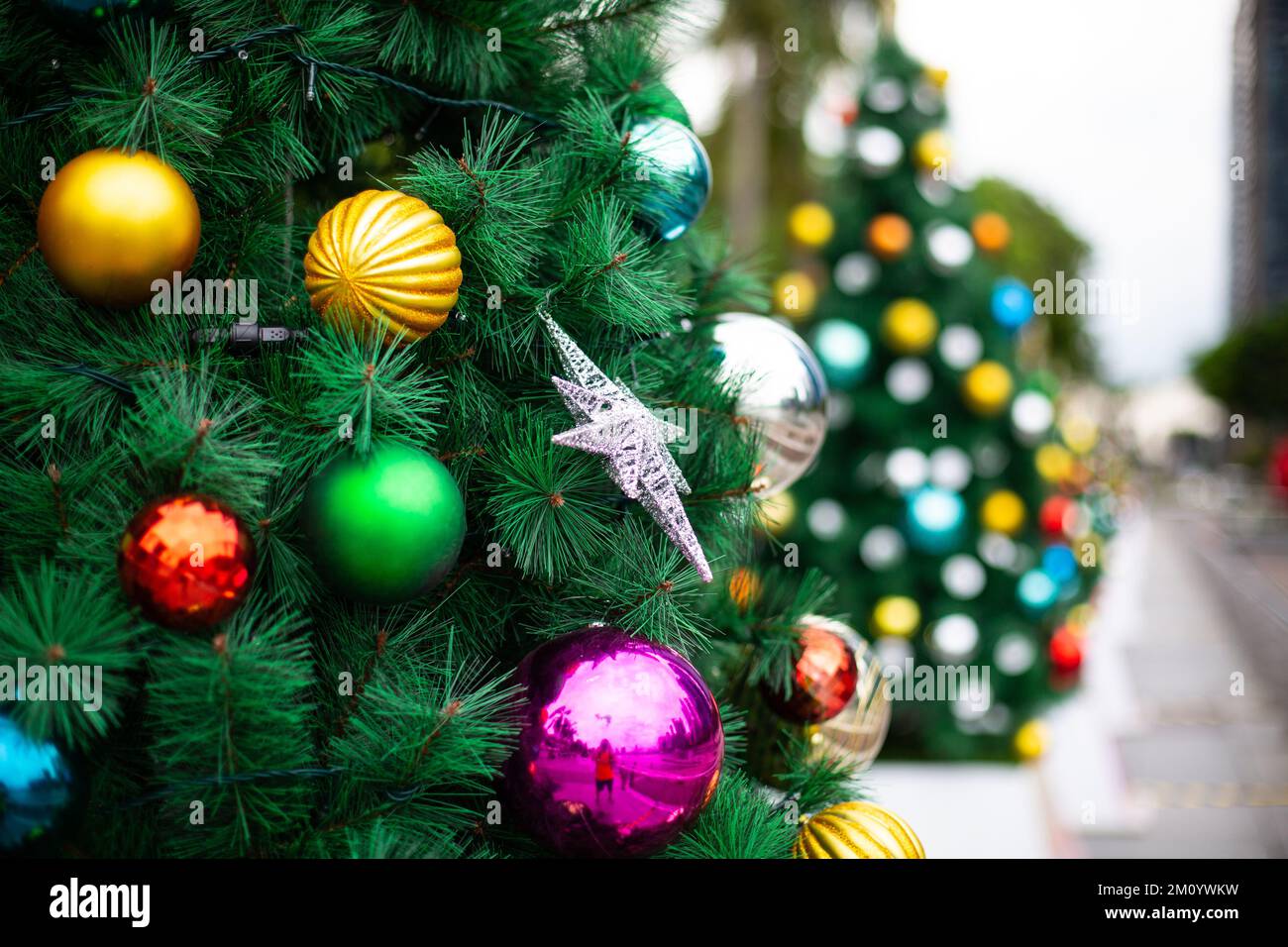 Rich colouful Christmas trees decoration at outdoor venue in Singapore Stock Photo