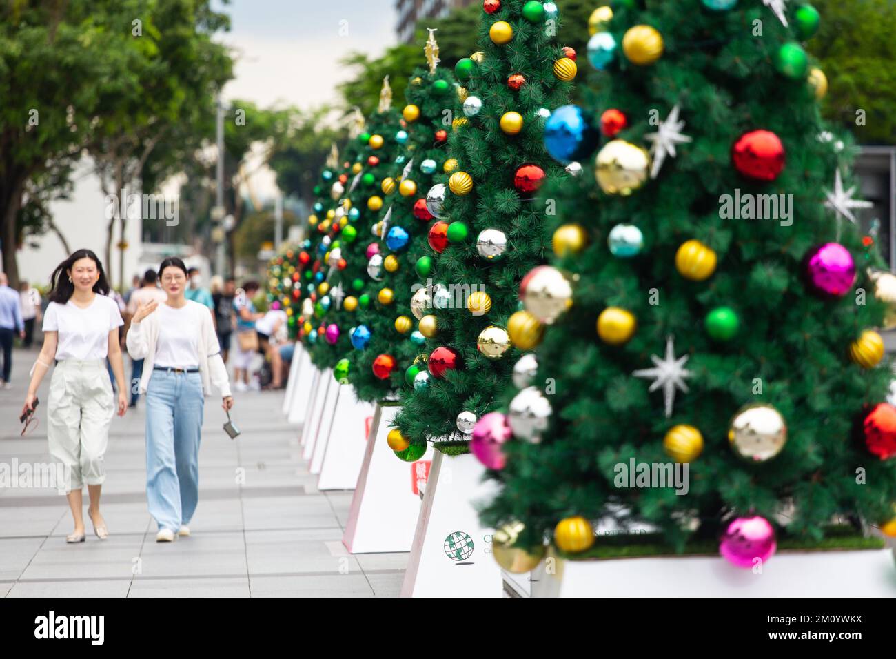 Asian ladies walked pass a row of Christmas trees filled with shiny decorations. Stock Photo