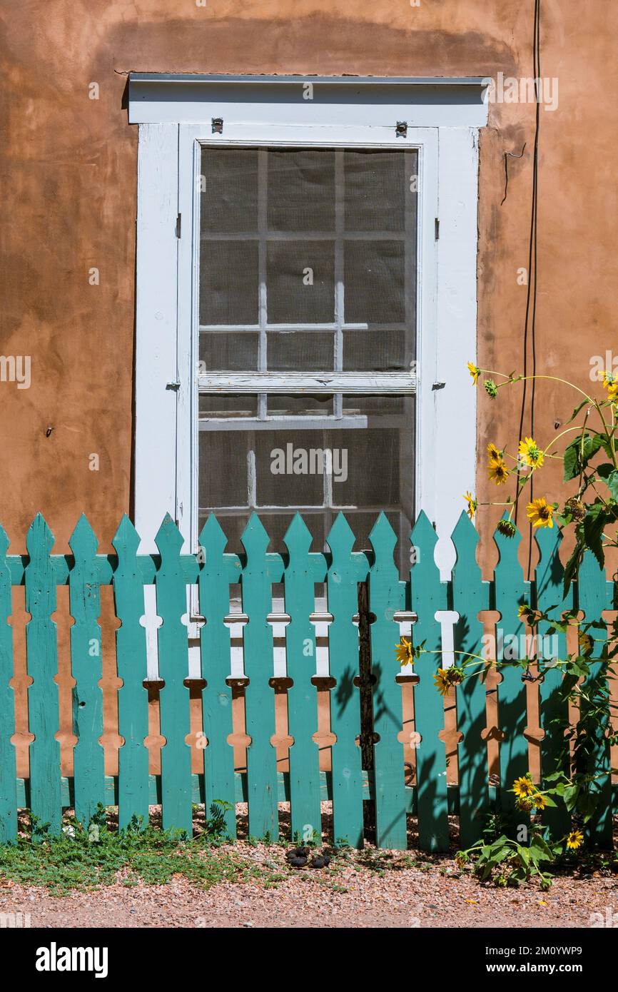 Vertical view of turquoise color wood fence and sunflowers set in front of a window and rustic adobe wall in Santa Fe, New Mexico Stock Photo