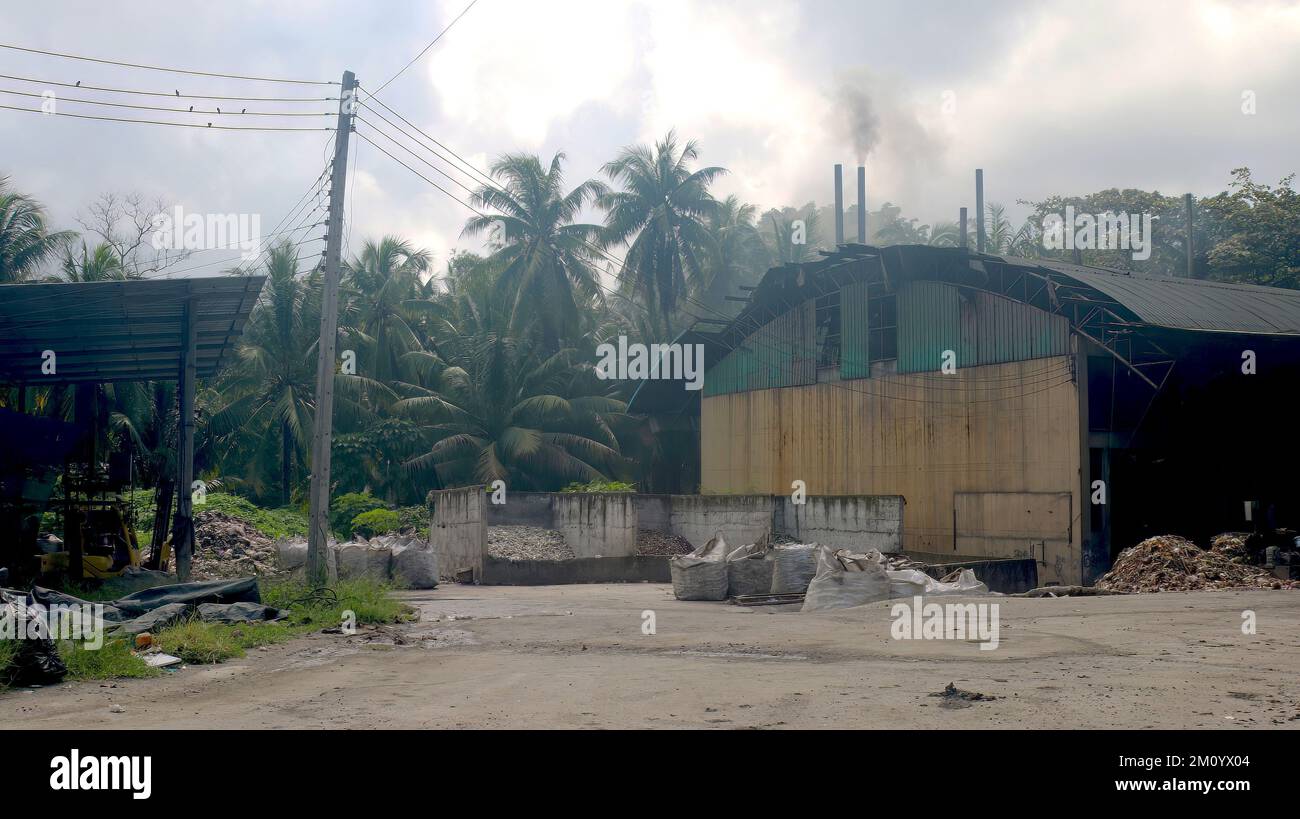 waste disposal in jungle surounded by palm tree Stock Photo Alamy