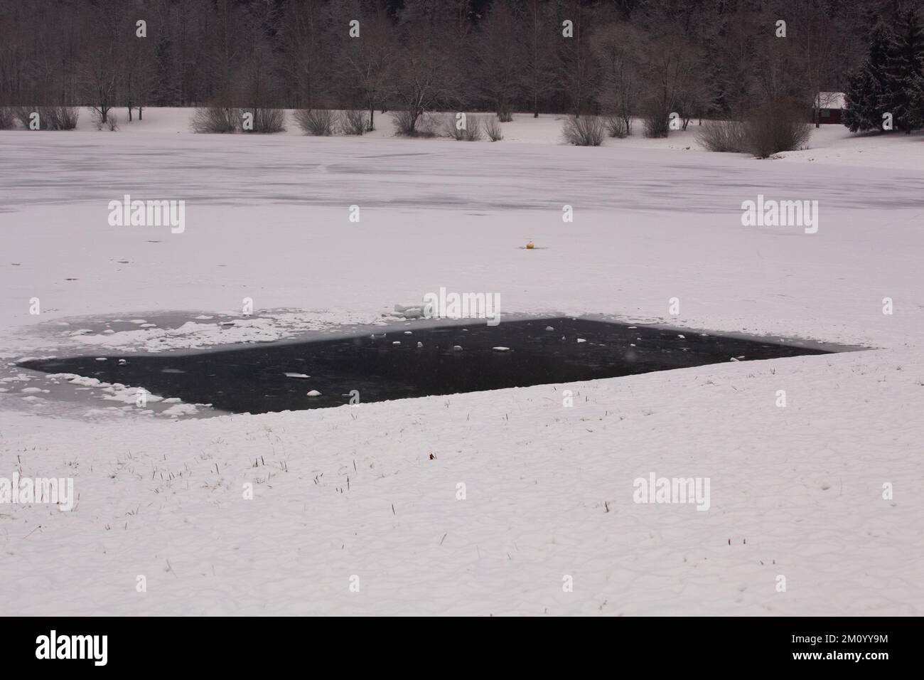 A rectangular hole was made in the thick ice covering a completely frozen lake so that the fish could breathe and be fed. Stock Photo