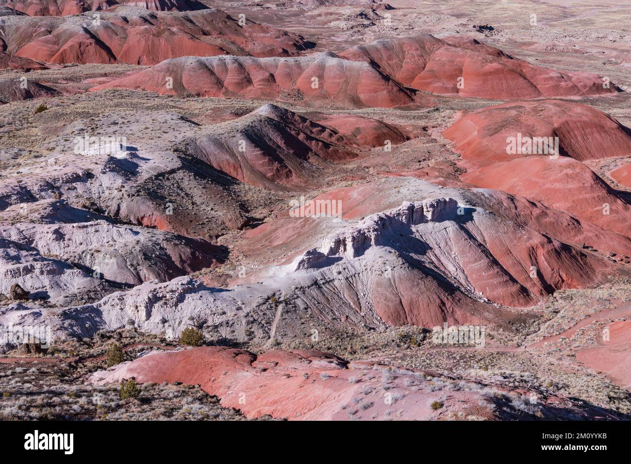 High angle view of vibrant, colorful landscape of desert badlands in Painted Desert, Petrified Forest National Park, Arizona Stock Photo