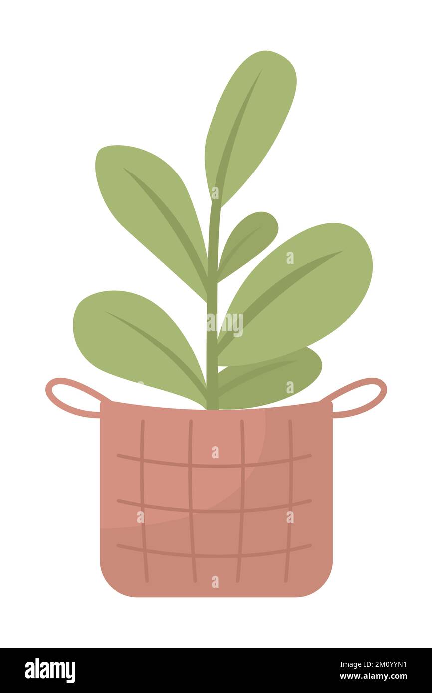Houseplant in wicker basket semi flat color vector object Stock Vector
