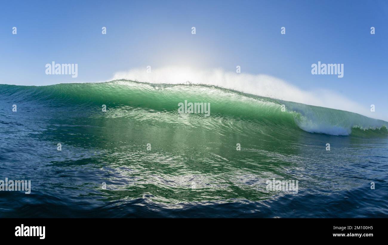 Wave ocean sea swimming front closeup encounter of crashing pitching backlit water  photograph. Stock Photo