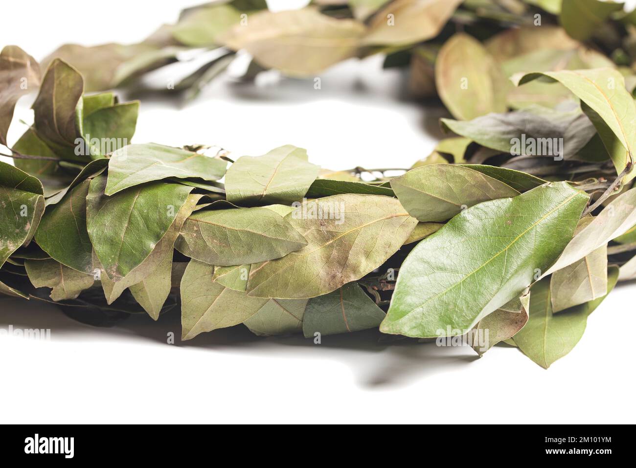 Wreath of laurel leaves isolated on white. Dried laurel leaf seasoning