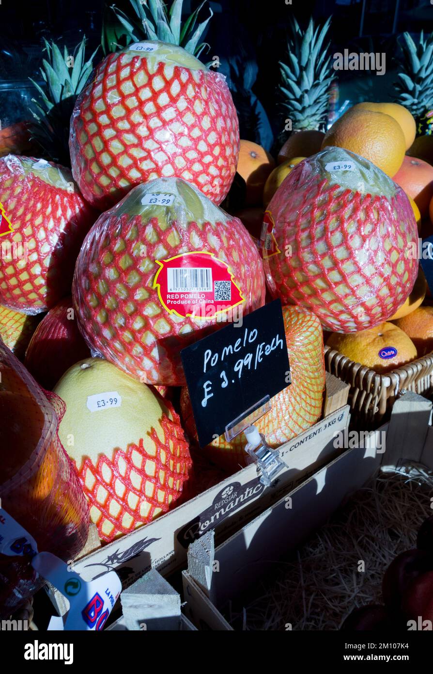 Pomelo fruit (Citrus Maxima), a large Asian citrus fruit related to