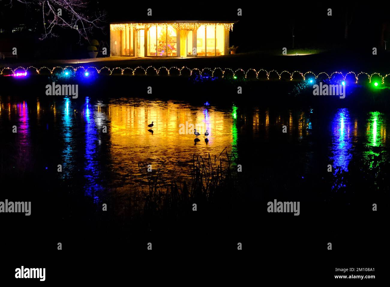 The Glow, Winter illuminations, RHS Harlow Carr gardens, Harrogate 2022 Stock Photo
