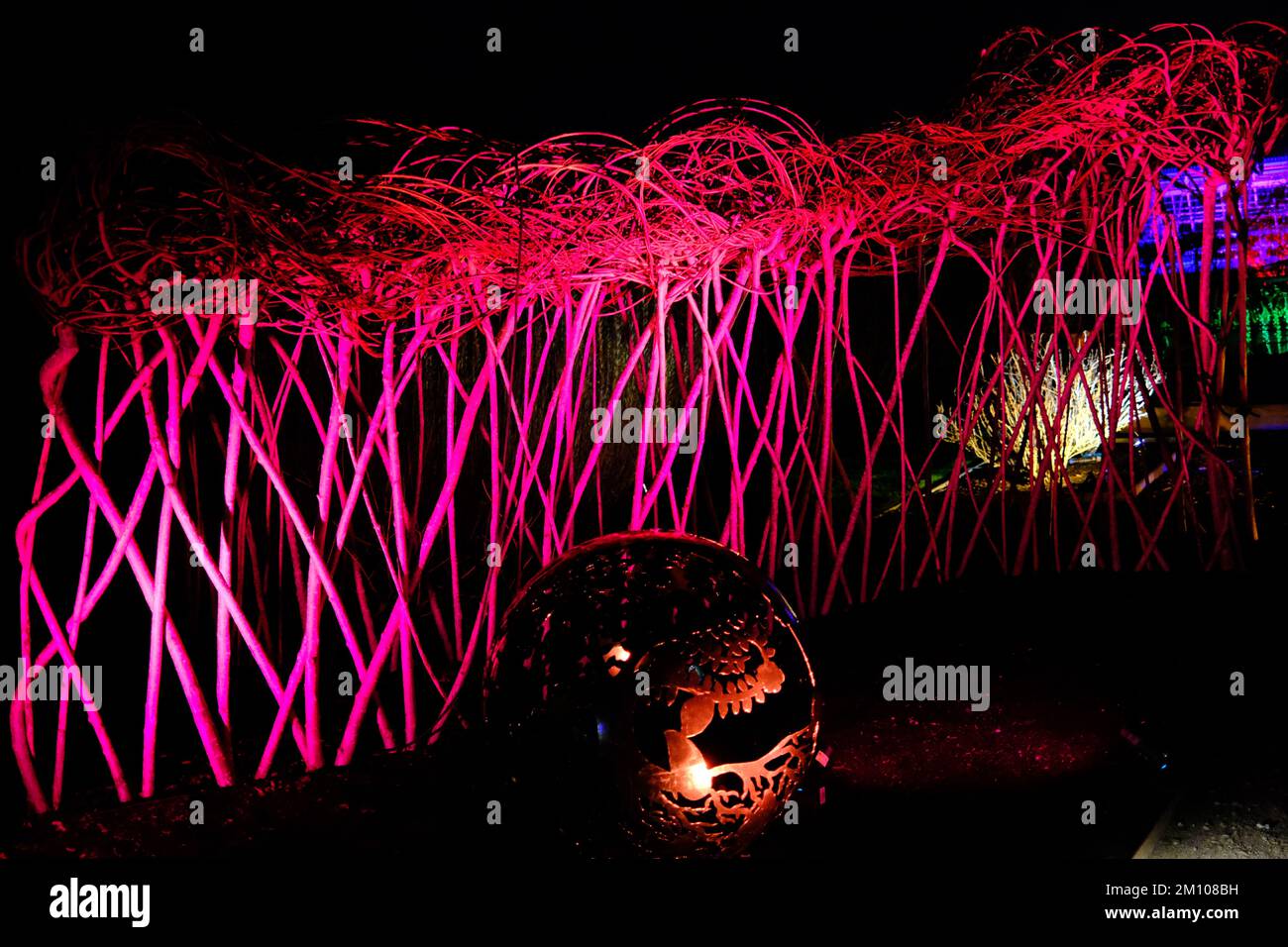 The Glow, Winter illuminations, RHS Harlow Carr gardens, Harrogate 2022