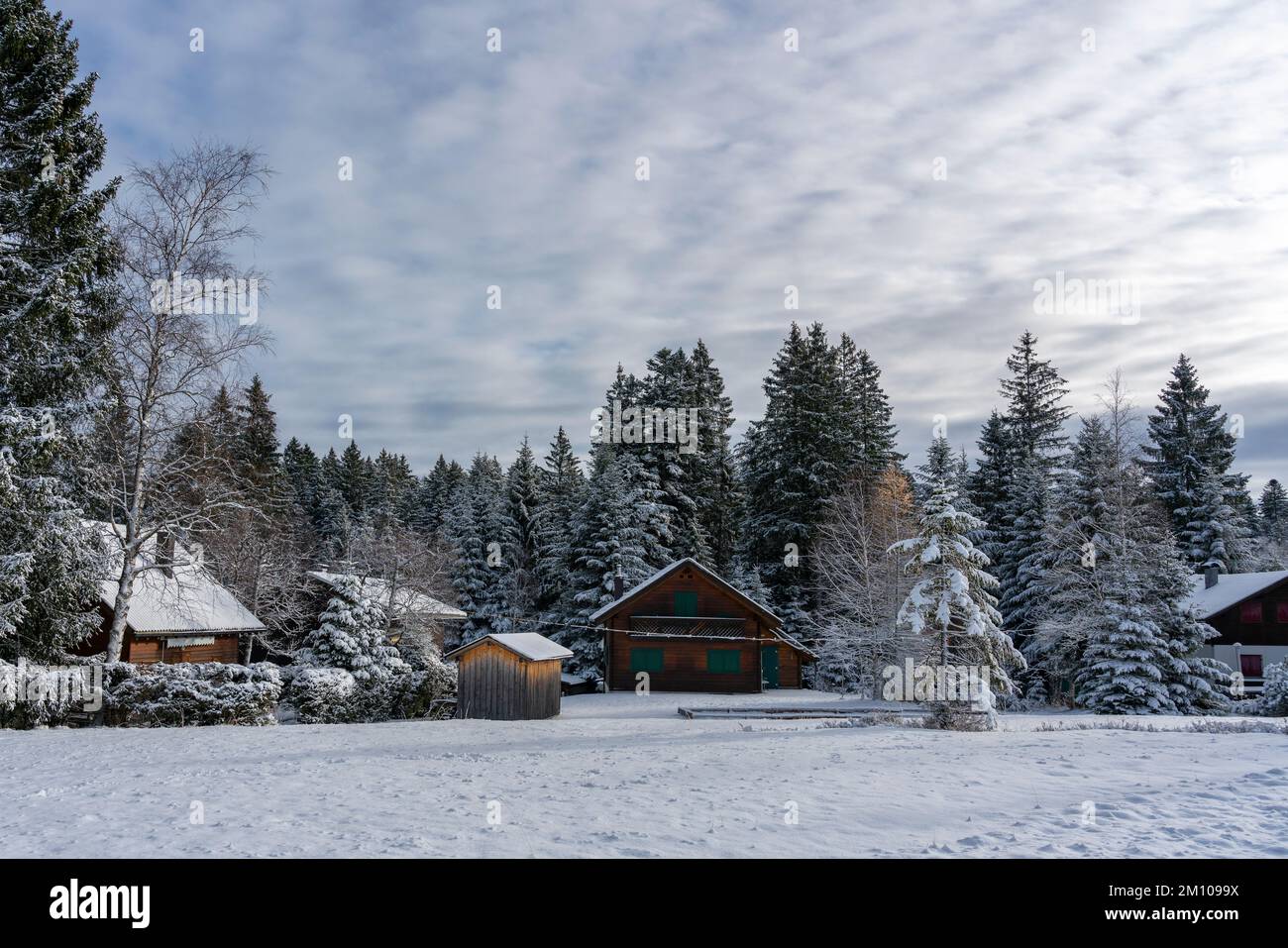 Holzhaus, Ferienhaus am Waldrand auf dem Hügel im ersten Schnee, verschneite Landschaft mit weißen Wiesen und Bäumen. Advent und Weihnachtszeit Ferien Stock Photo