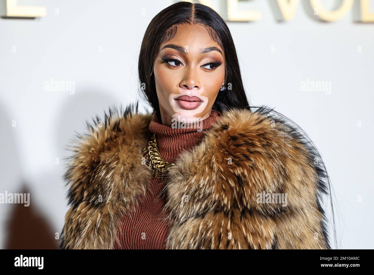 Public spokesperson hi-res stock photography and images - Alamy