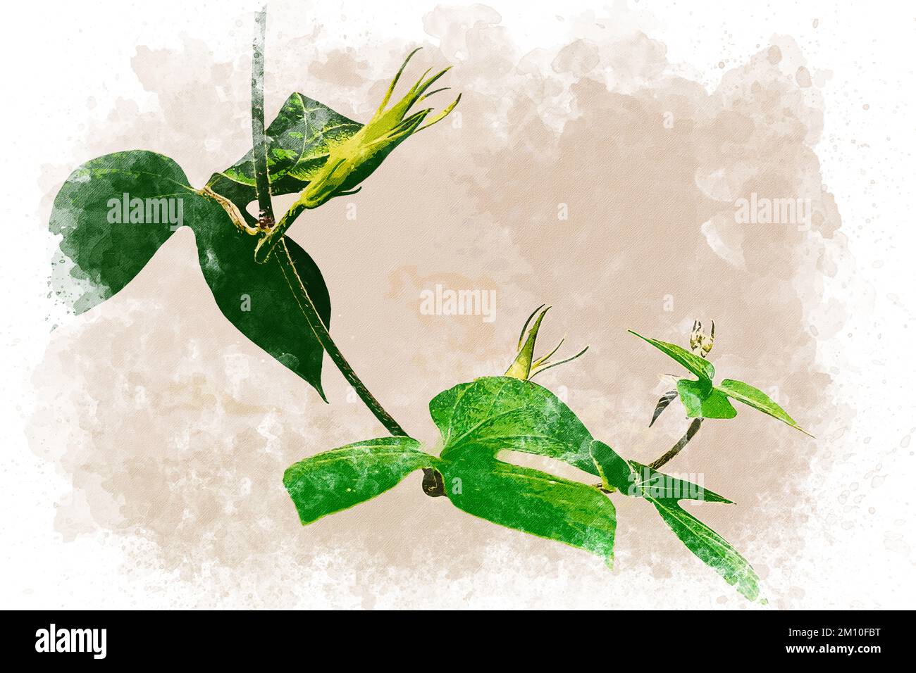 Watercolor illustration of green leaves on branch. Elegant design of ...