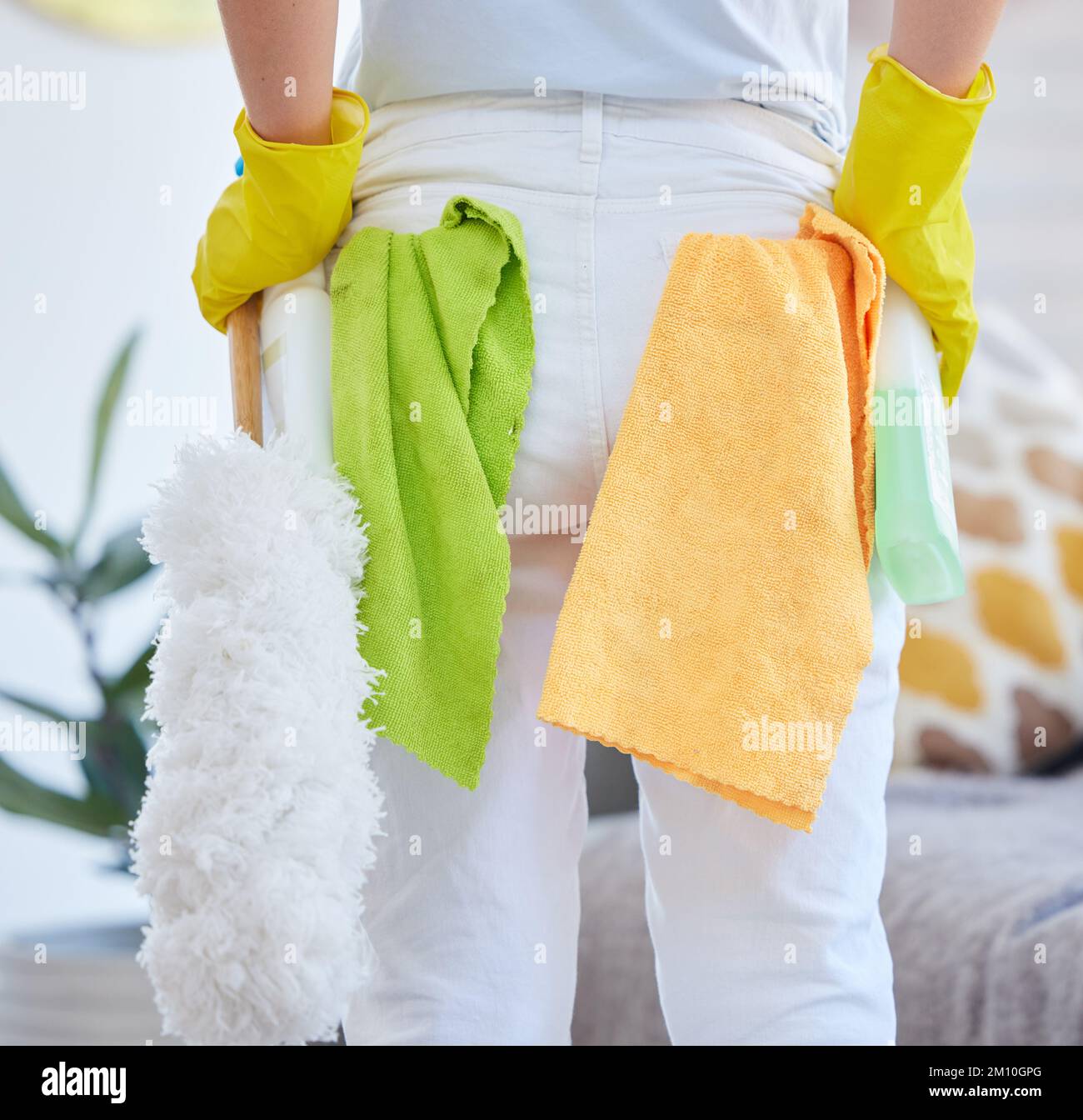 Cleaner woman, cloth and brush with spray bottle for cleaning, sanitizer and dust in home living room. Hospitality worker, service and product for Stock Photo
