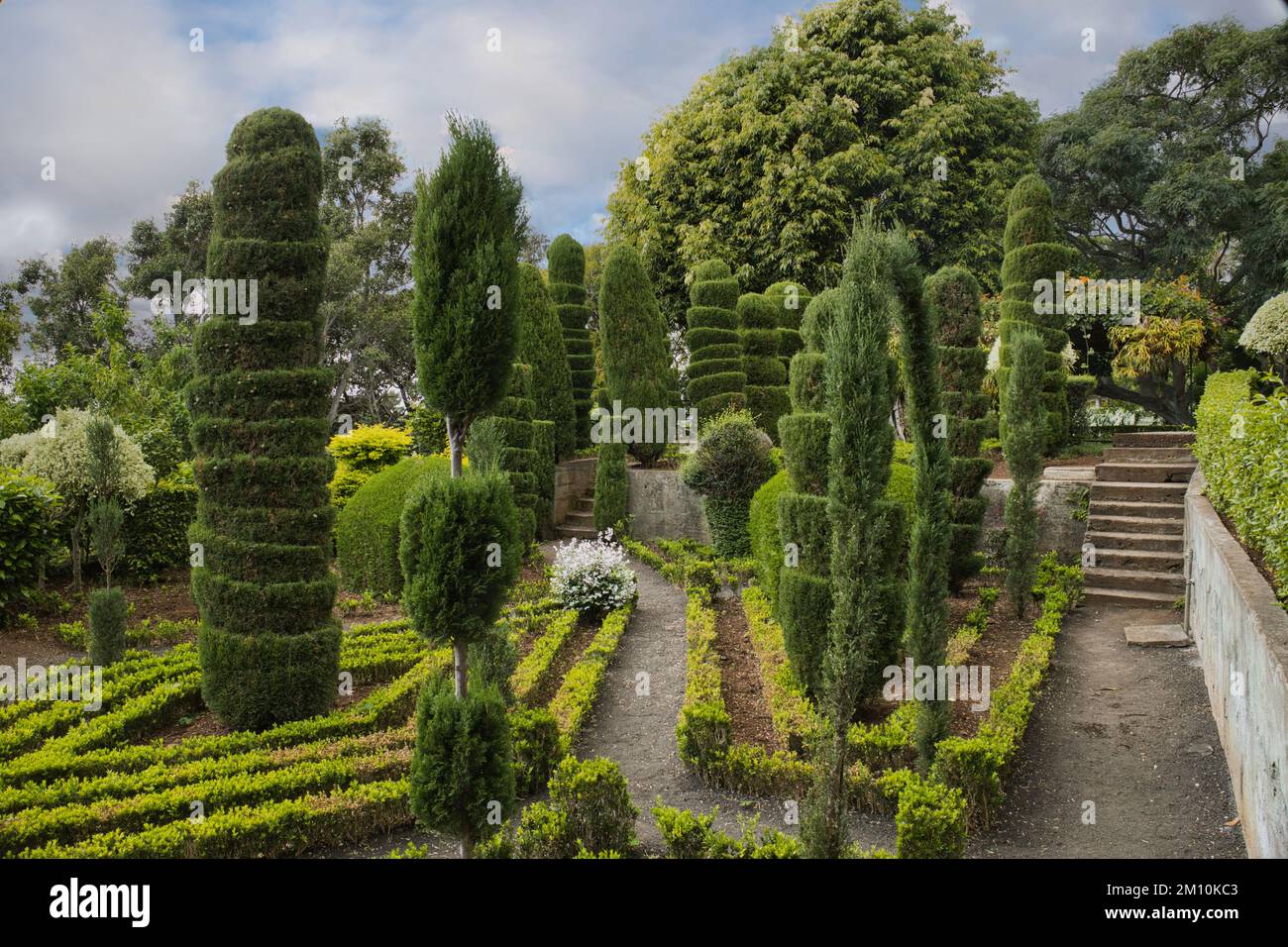 Topiary section of the Botanical Gardens in Funchal, Madeira Stock Photo