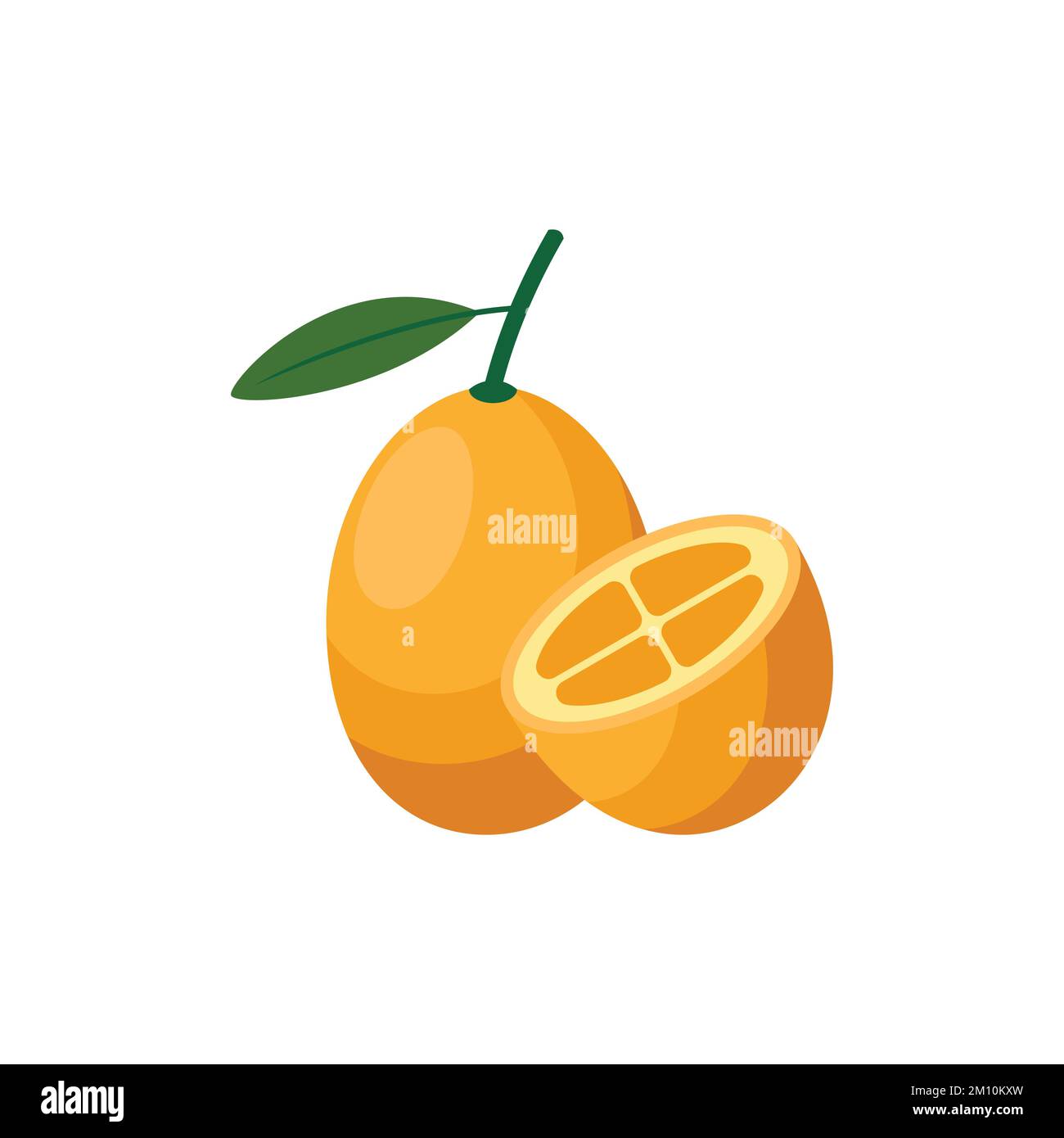 Kumquat Flat design clip art vector illustration isolated on a white background Stock Vector
