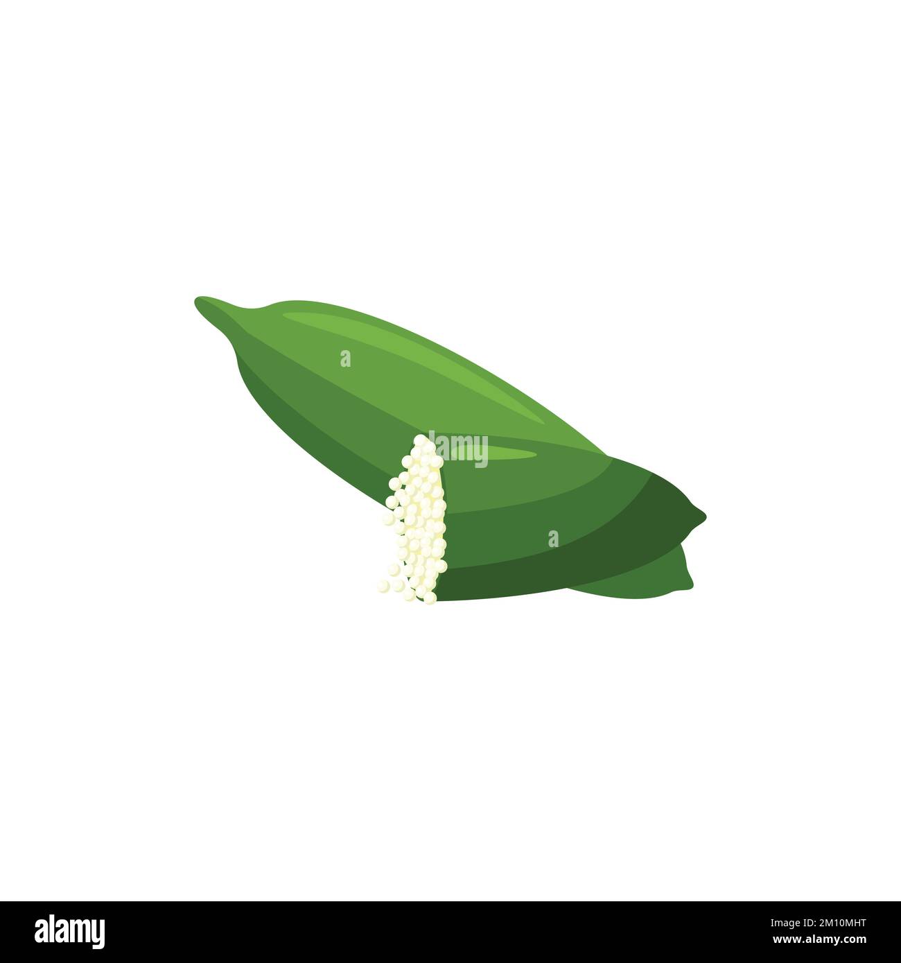 Finger Lime Flat design clip art vector illustration isolated on a ...