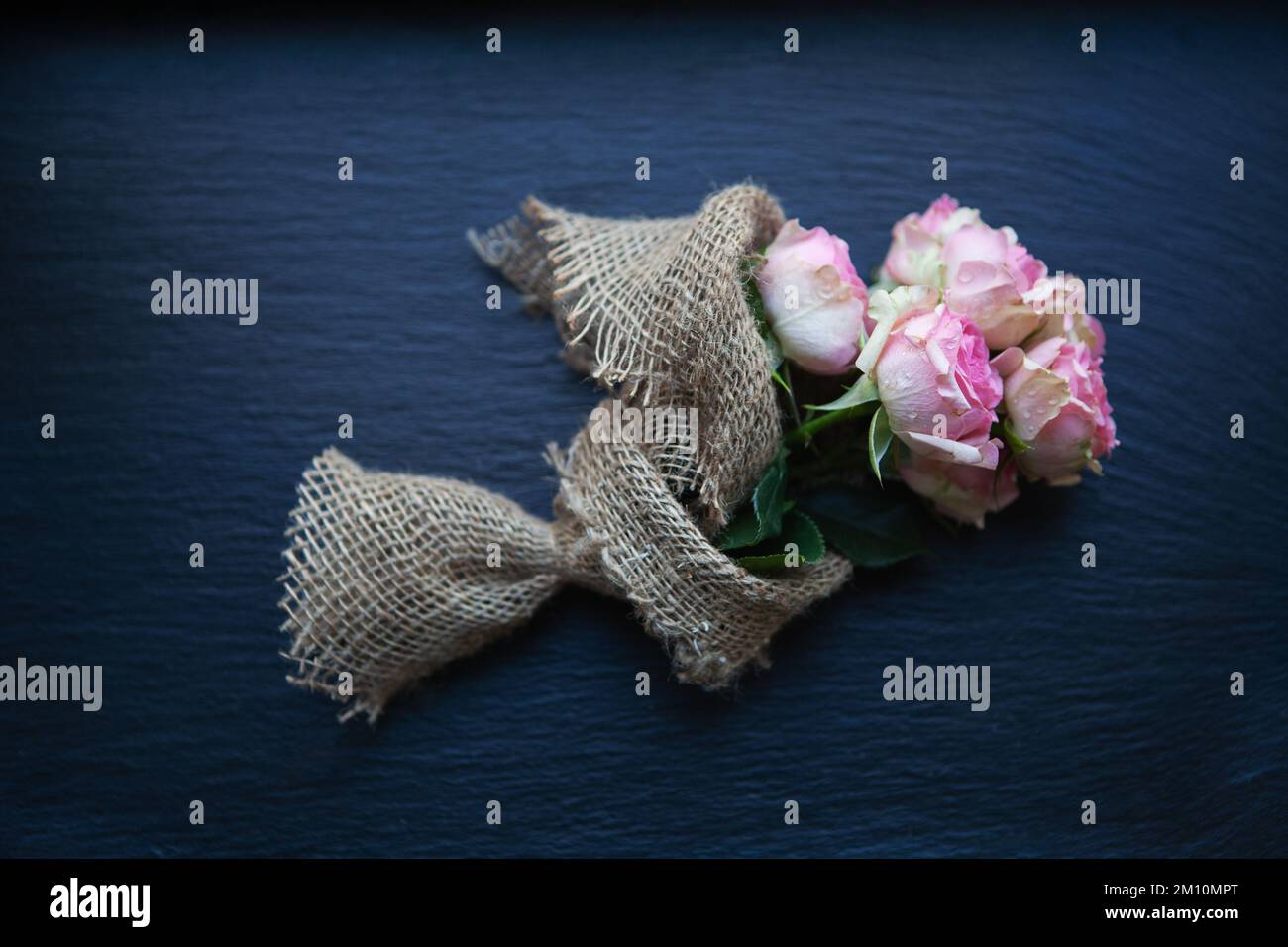 Rustic flower bouquet of pink roses isolated on dark blue background. Closeup stylish small wedding boutonniere, flat lay, top view Stock Photo