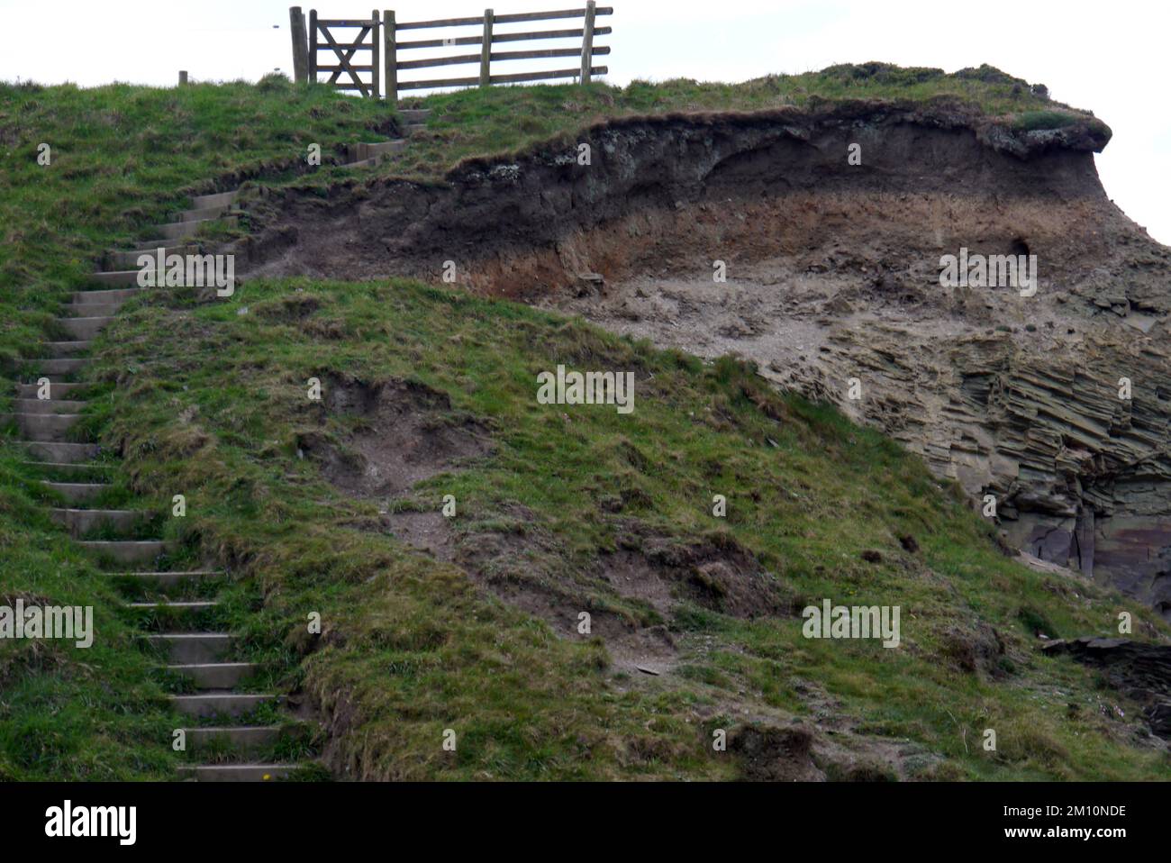 Steps Leading up to a Wooden Gate on Eroded Cliff Edge to the Strangles on the South West Coastal Path in Cornwall, England, UK. Stock Photo