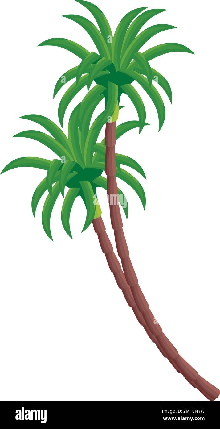trees palms tropical plants Stock Vector Image & Art - Alamy