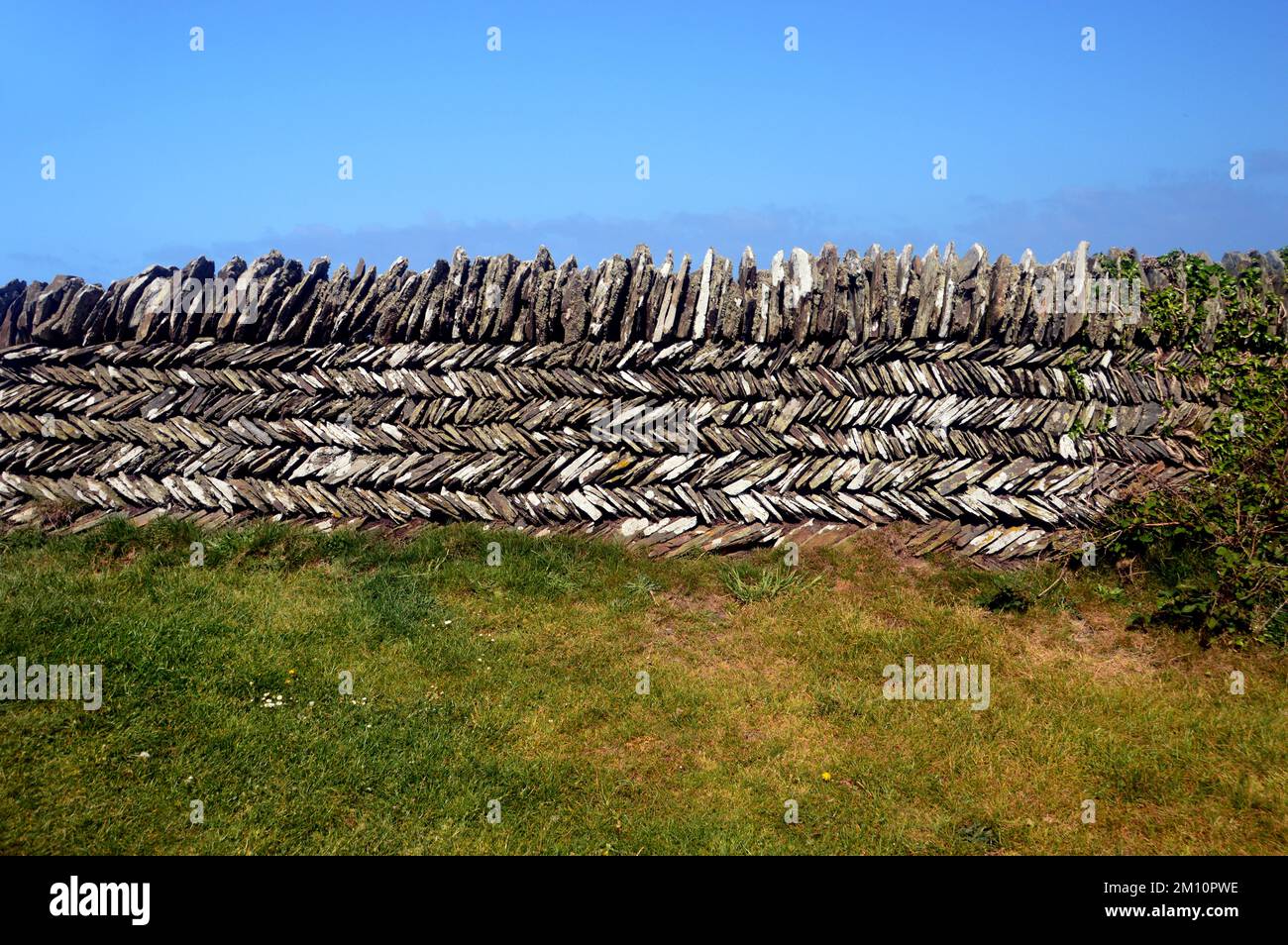 Traditional 'Curzyway' Handmade Cornish Slate Herringbone Dry Stone Wall near Willapark on the South West Coastal Path, Cornwall, England, UK. Stock Photo