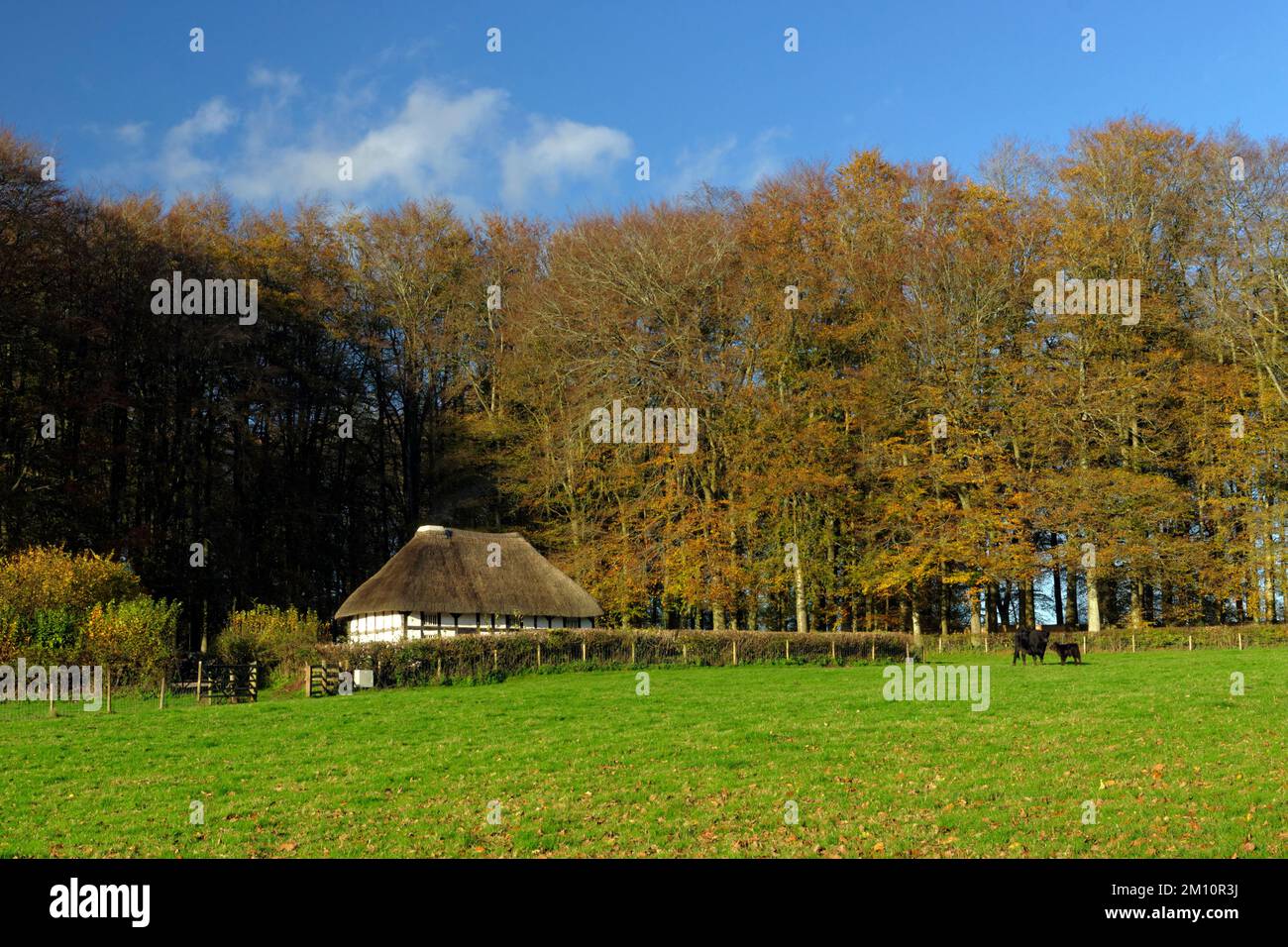 Abernodwydd farmhouse, St Fagans National History museum , Cardiff, Wales. Stock Photo